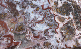 Paisley Agate Slab 395