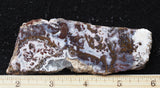 Paisley Agate Rock Slab 97