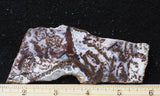 Paisley Agate Rock Slab 96
