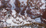 Paisley Agate Rock Slab 96