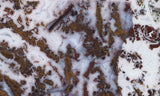 Paisley Agate Rock Slab 96