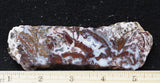 Paisley Agate Rock Slab 99