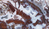Paisley Agate Rock Slab 99