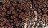 Fireworks Obsidian Slab 69