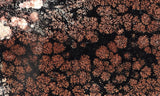 Fireworks Obsidian Slab 57