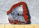 Brenda Jasper Rock Slab 194