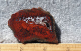 Brenda Jasper Rock Slab 191