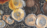 Galaxy Rhyolite Slab 254