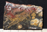 Galaxy Rhyolite Slab 289