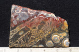 Galaxy Rhyolite Slab 252