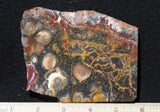 Galaxy Rhyolite Slab 255