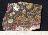 Galaxy Rhyolite Slab 246