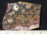 Galaxy Rhyolite Slab 246