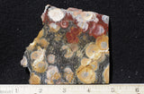 Galaxy Rhyolite Slab 264