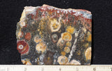 Galaxy Rhyolite Slab 245