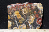 Galaxy Rhyolite Slab 244