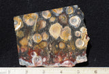 Galaxy Rhyolite Slab 283