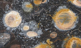 Galaxy Rhyolite Slab 247