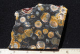 Galaxy Rhyolite Slab 247