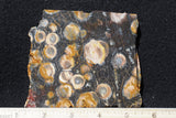 Galaxy Rhyolite Slab 248