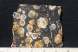 Galaxy Rhyolite Slab 248