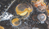 Galaxy Rhyolite Slab 262