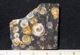 Galaxy Rhyolite Slab 275