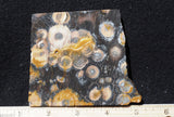 Galaxy Rhyolite Slab 261