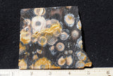 Galaxy Rhyolite Slab 261