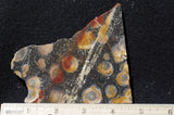 Galaxy Rhyolite Slab 291