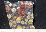 Galaxy Rhyolite Slab 260