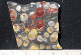 Galaxy Rhyolite Slab 260