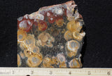 Galaxy Rhyolite Slab 285