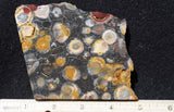 Galaxy Rhyolite Slab 272