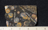 Galaxy Rhyolite Slab 297