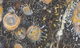 Galaxy Rhyolite Slab 265