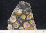 Galaxy Rhyolite Slab 257