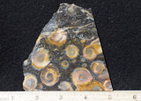 Galaxy Rhyolite Slab 257
