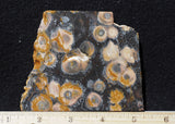 Galaxy Rhyolite Slab 298