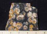 Galaxy Rhyolite Slab 298