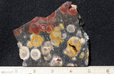 Galaxy Rhyolite Slab 274