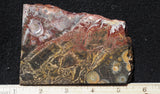 Galaxy Rhyolite Slab 278