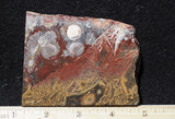 Galaxy Rhyolite Slab 282