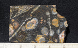 Galaxy Rhyolite Slab 250