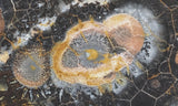 Galaxy Rhyolite Slab 250