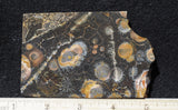 Galaxy Rhyolite Slab 250