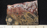 Galaxy Rhyolite Slab 253