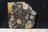 Galaxy Rhyolite Slab 294