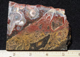 Galaxy Rhyolite Slab 256