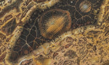 Galaxy Rhyolite Slab 256